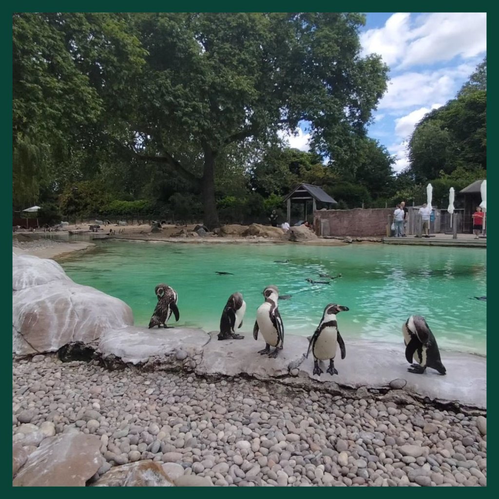 London Zoo – Explore the Wonders of London Zoo