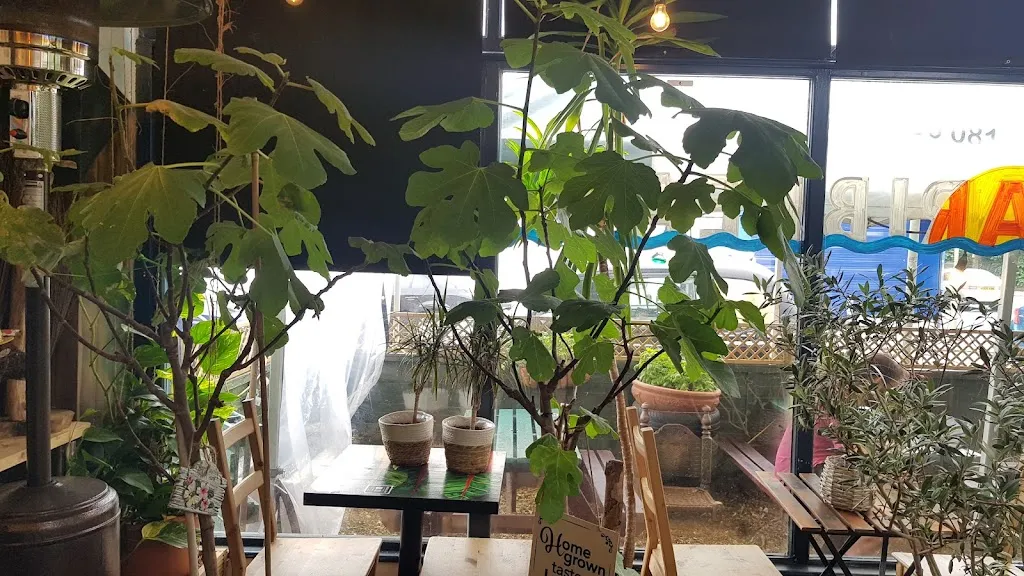 Allotment N11 1 Allotment N11