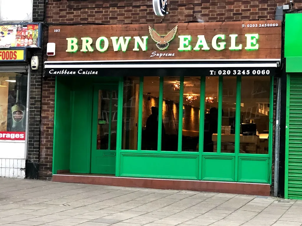 Brown Eagle