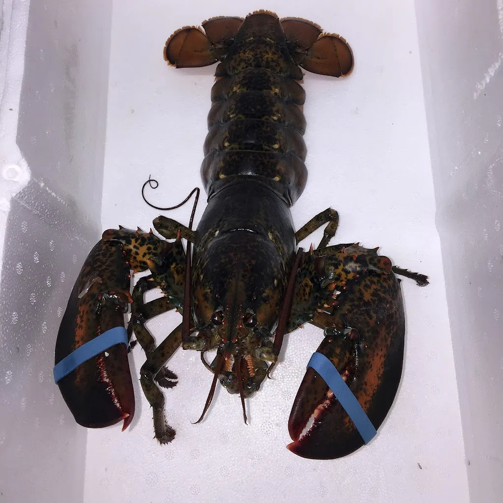 Capital Seafoods 1 Capital Seafoods