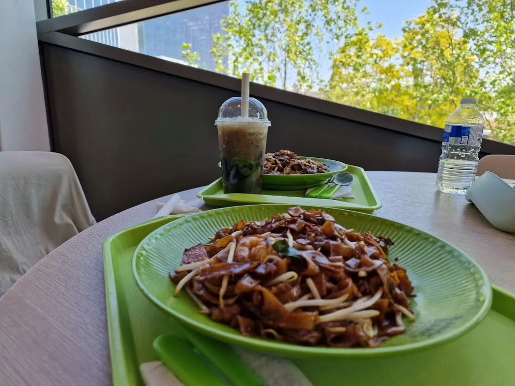 Coconut Tree 1 Coconut Tree