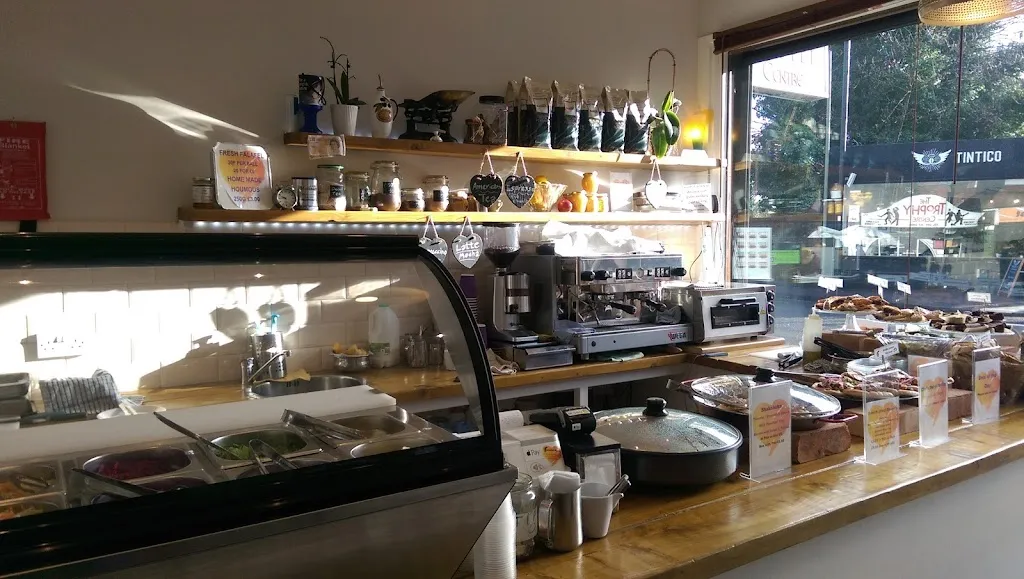 Falafel Feast 1 Falafel Feast