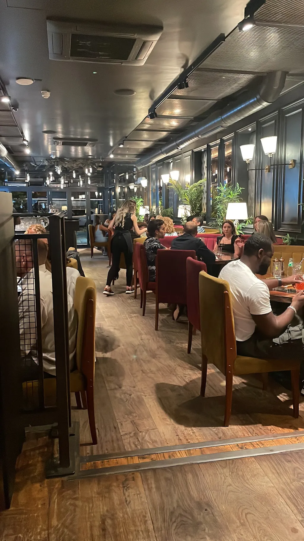 Mayhill's 1 Mayhill's