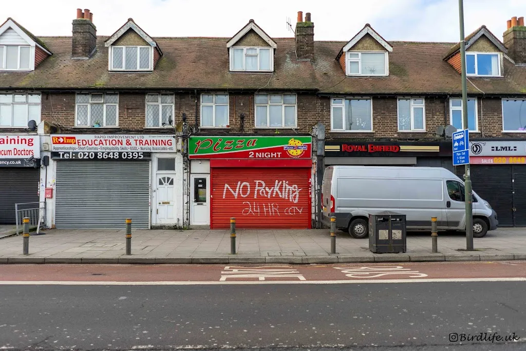 Pizza 2 Night 1 Pizza 2 Night