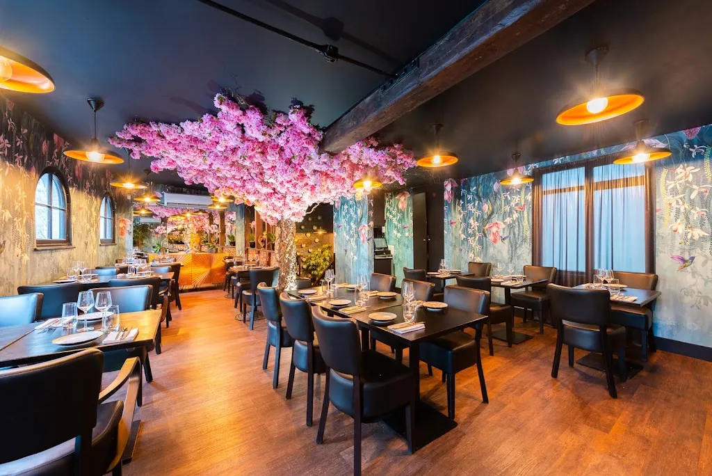 Sticky Mango Waterloo 1 Sticky Mango Waterloo