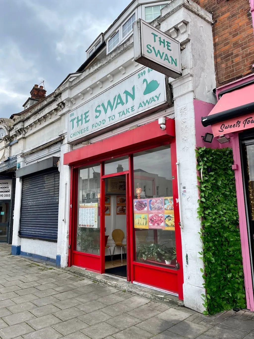 The Swan