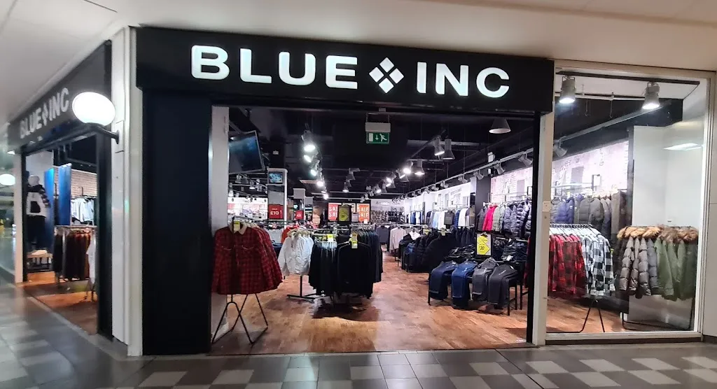 Blue Inc