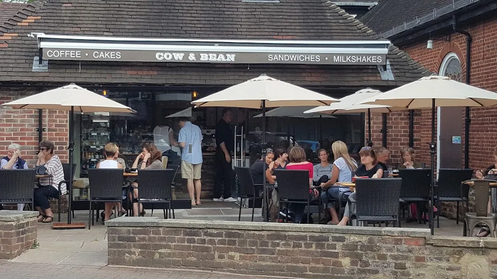 Cow & Bean