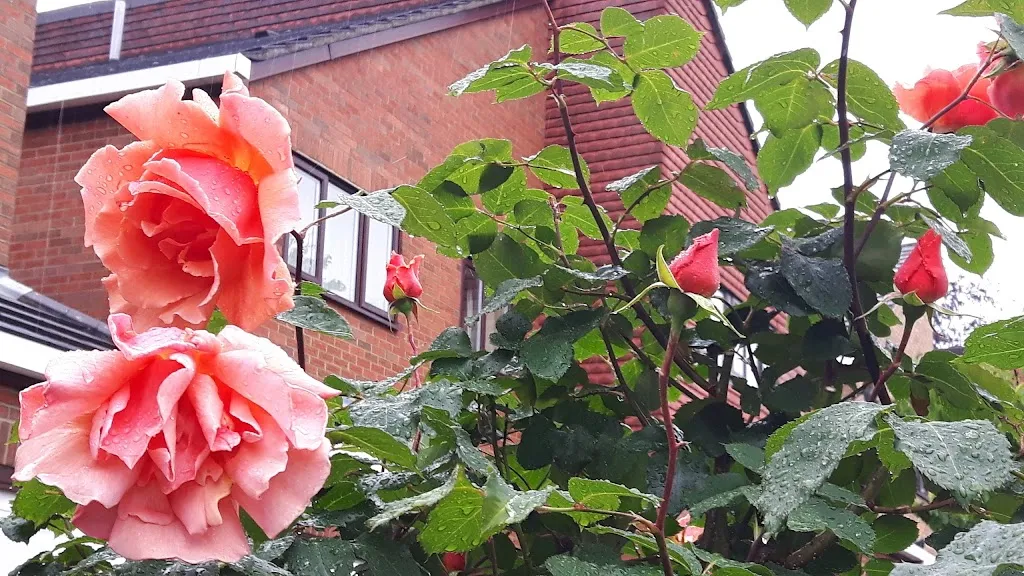 Croydon Spiritualist Church