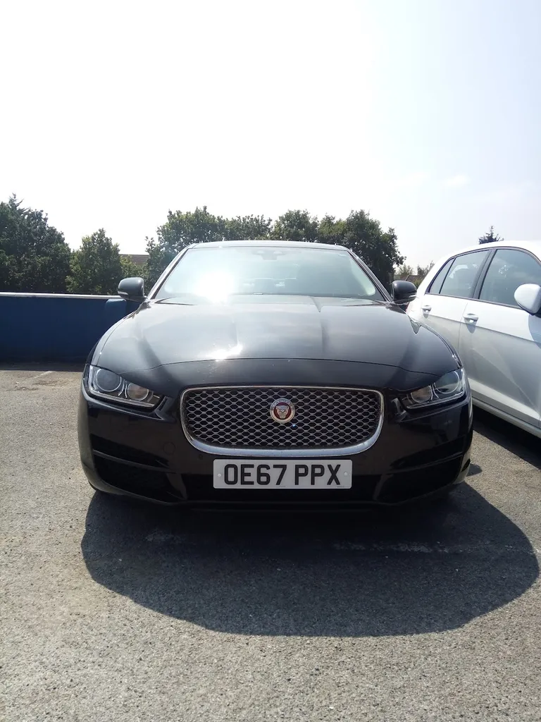 Thrifty Car and Van Rental Park Royal