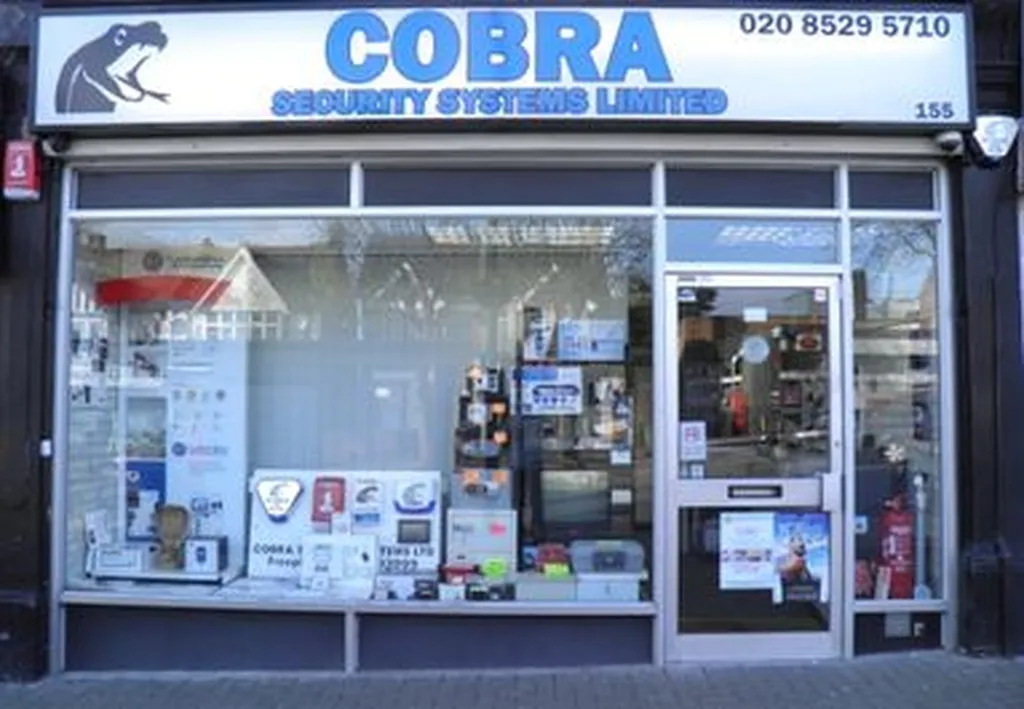 Cobra Security Systems Ltd