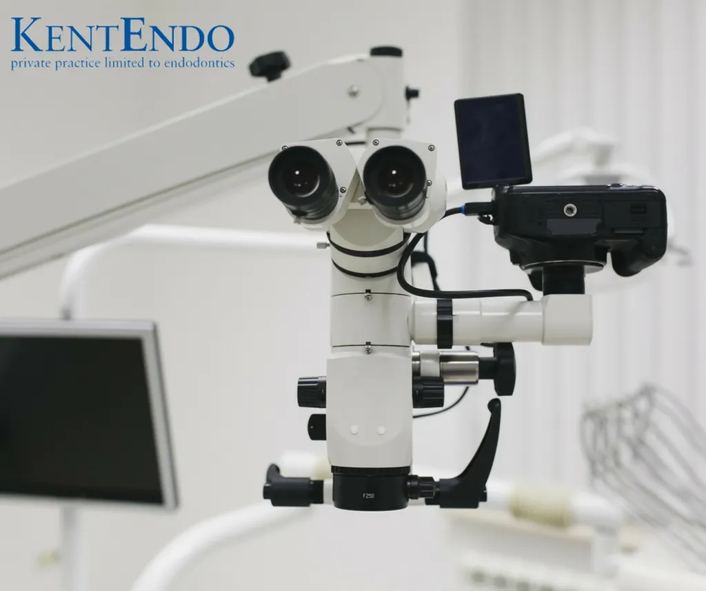 Kent Endo
