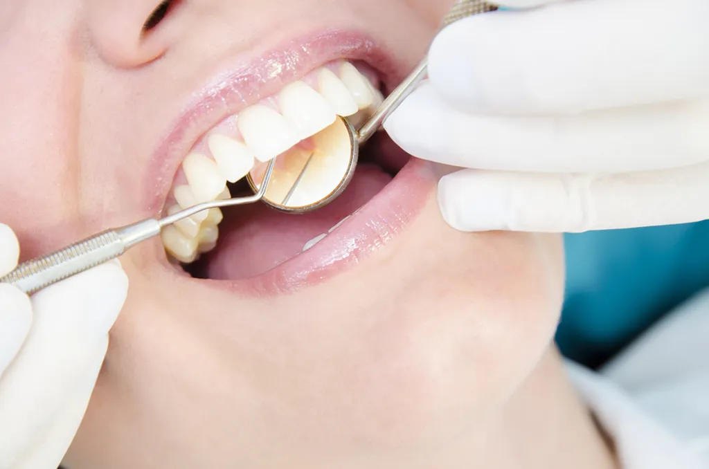 The Holland Park Dentist