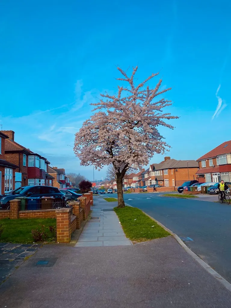 The Stanmore Medical Centre