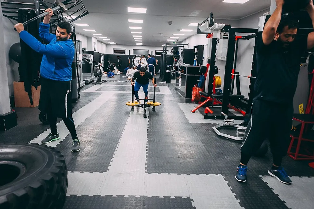 313 Fitness