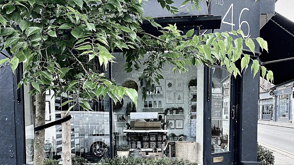 46 park road