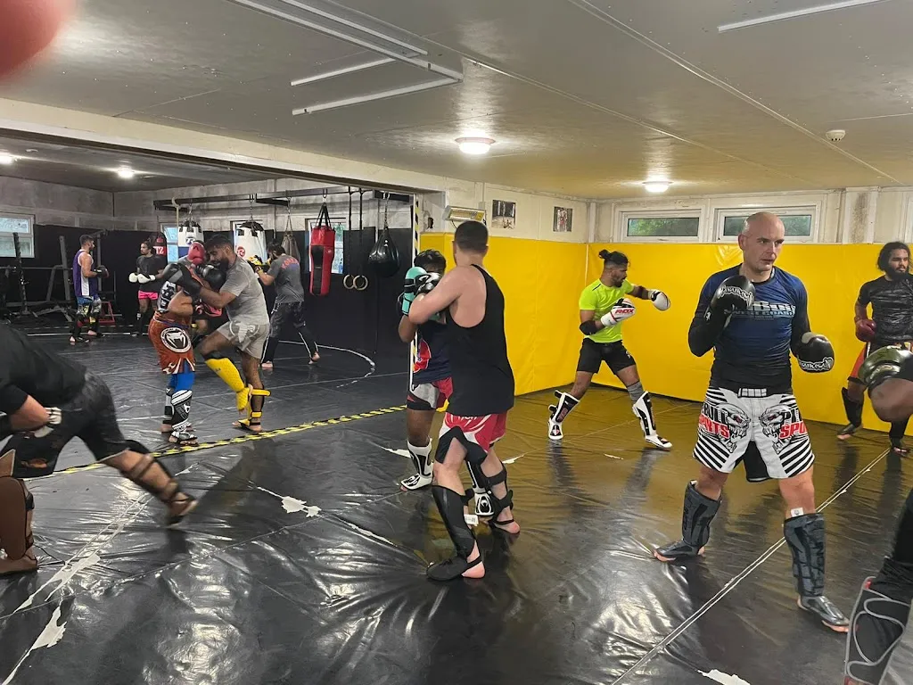 Beast Fight Team