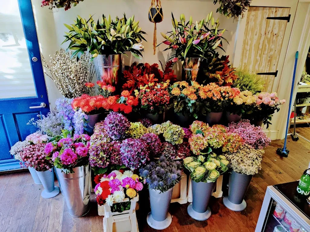 Becky Blooms Flowers