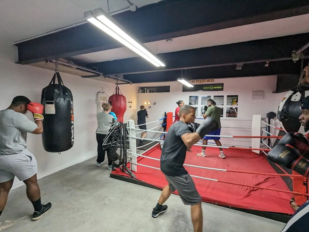 BLAST Fit