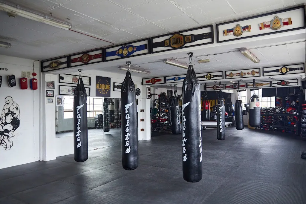 Bloodline Gym
