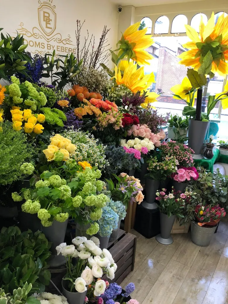 Blooms by Eberé