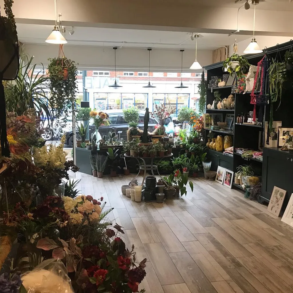 Botanical Home