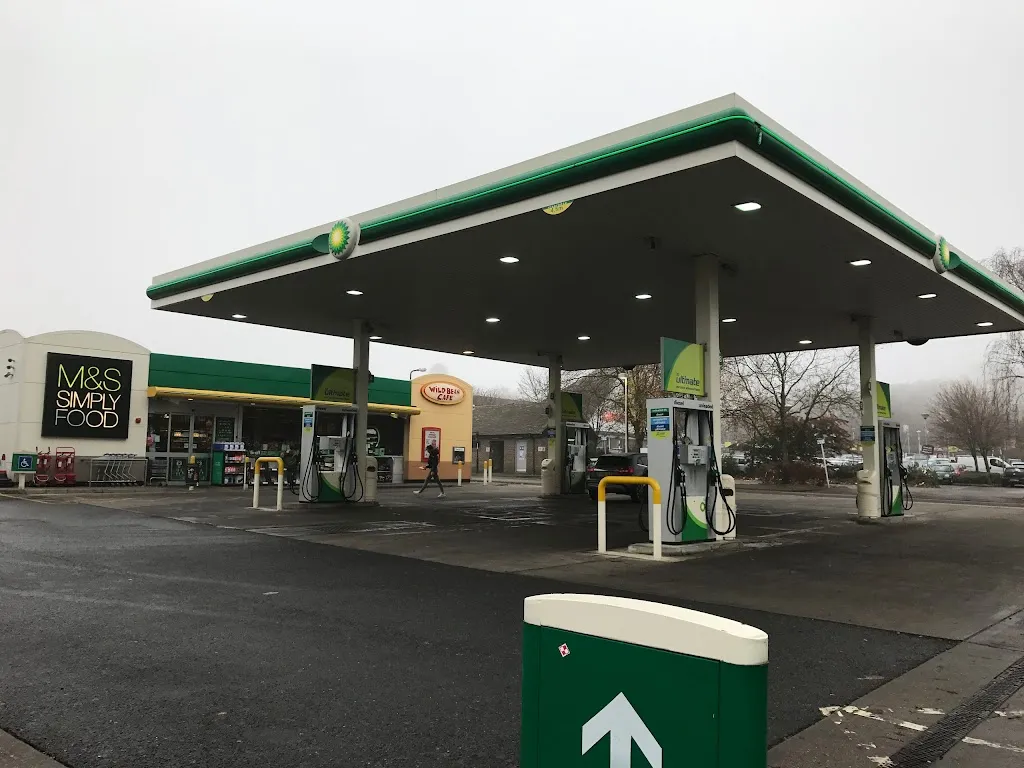 bp