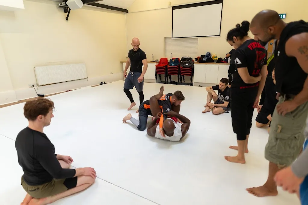 Brazilian jiu jitsu and MMA