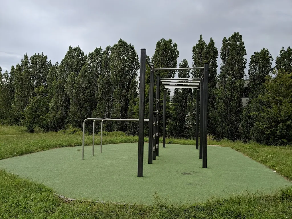 Calesthenics Outdoor Gym