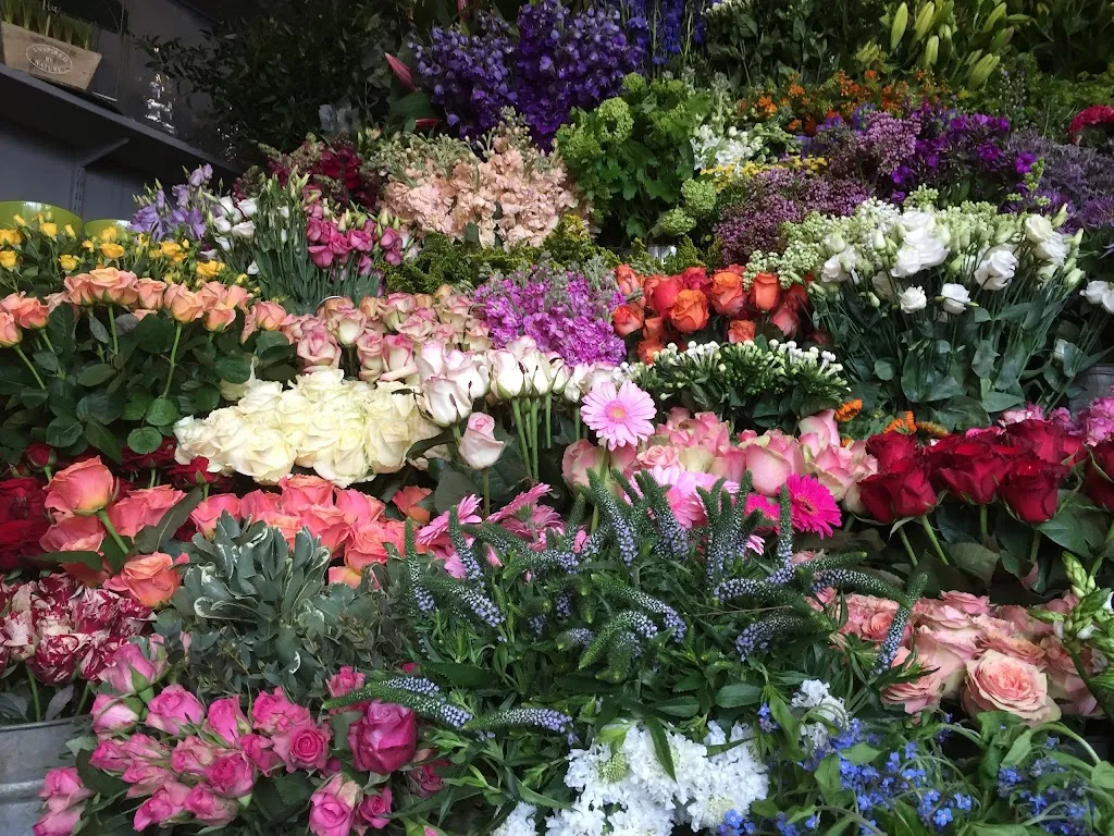 Clapham Flowers