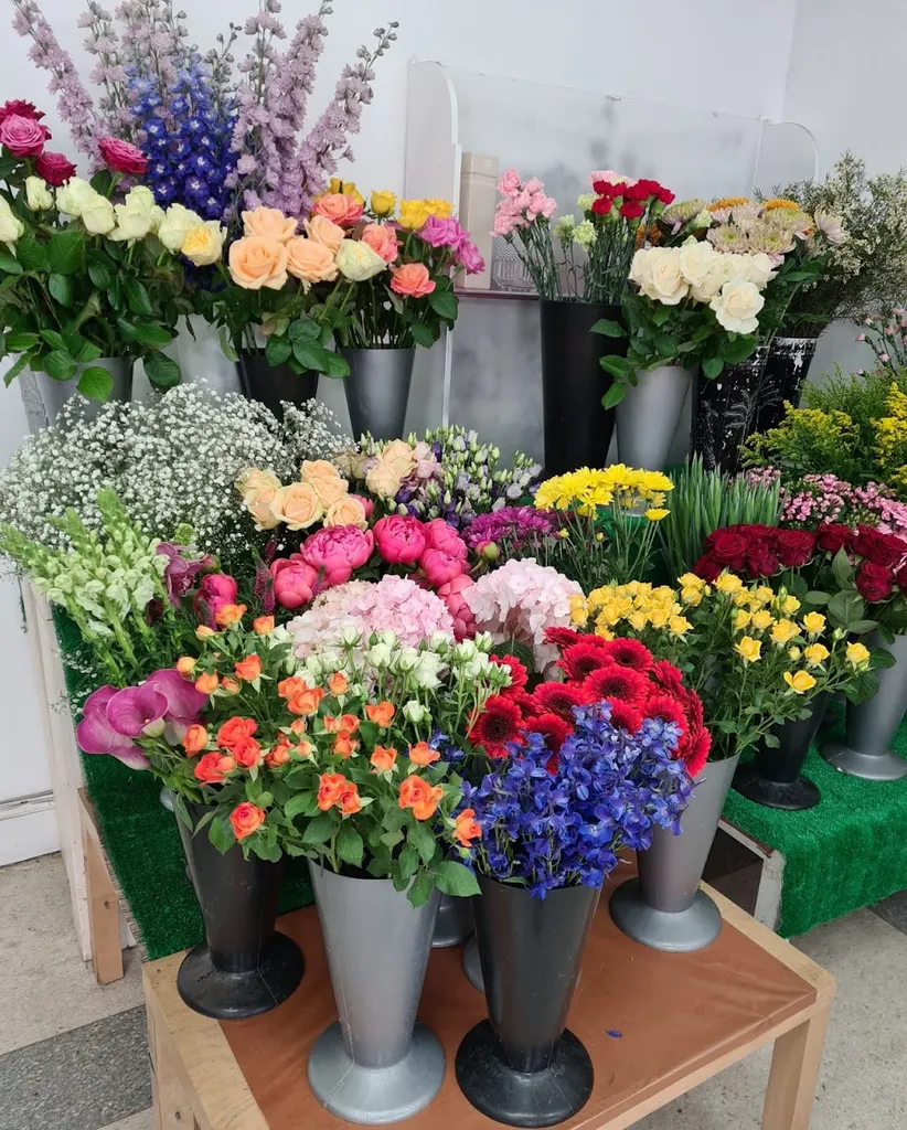 Croydon Flower House