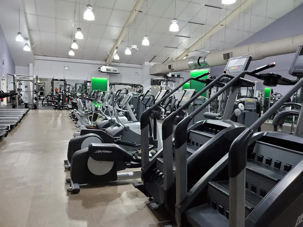 David Lloyd Purley
