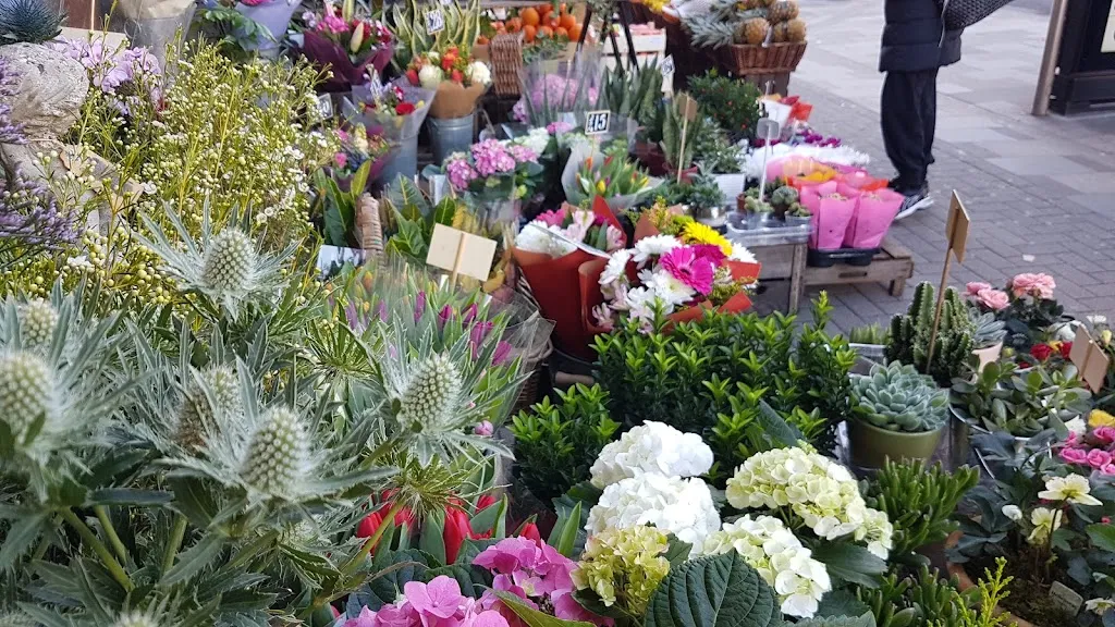Dovers Flowers