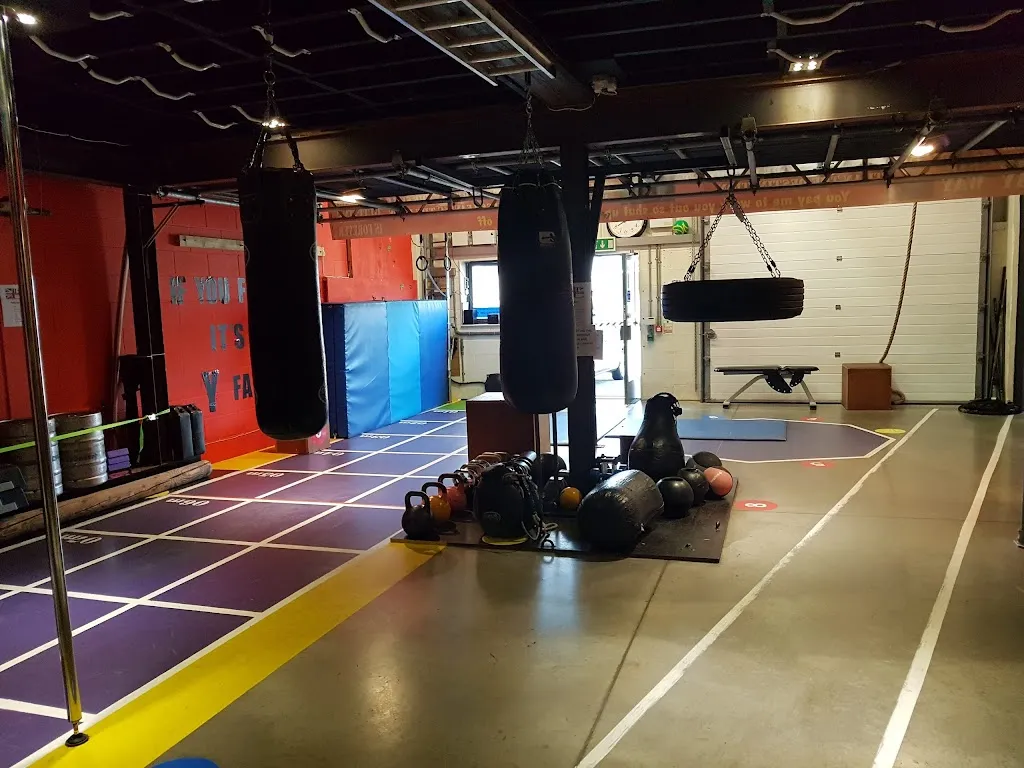 Dynamo Boxing