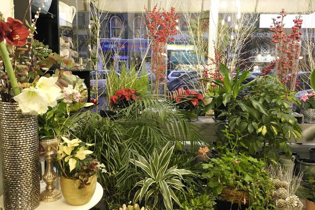 Elgin Blooms Maida Vale