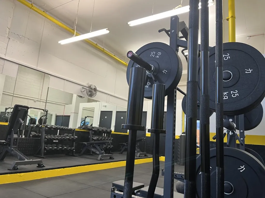 Elite Evolution Gym in Islington