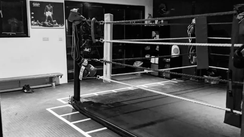 Essex Ringside