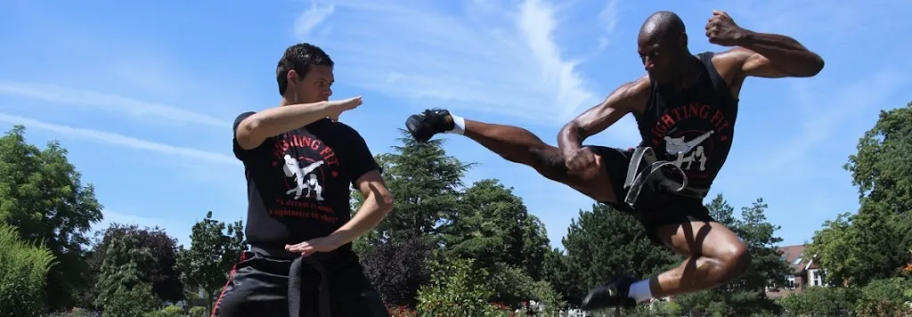 Fighting Fit