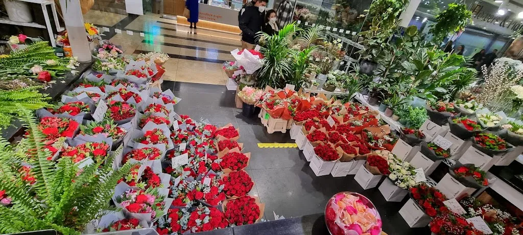 Flowers & Plants Co.