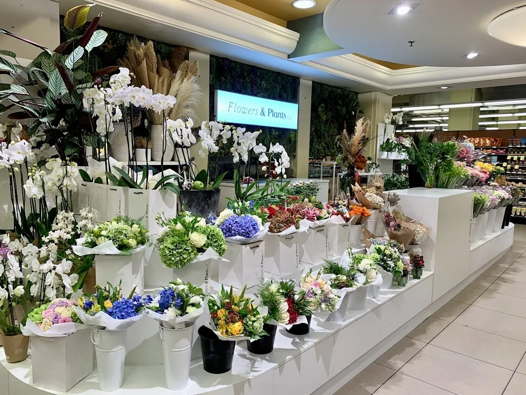 Flowers & Plants Co.