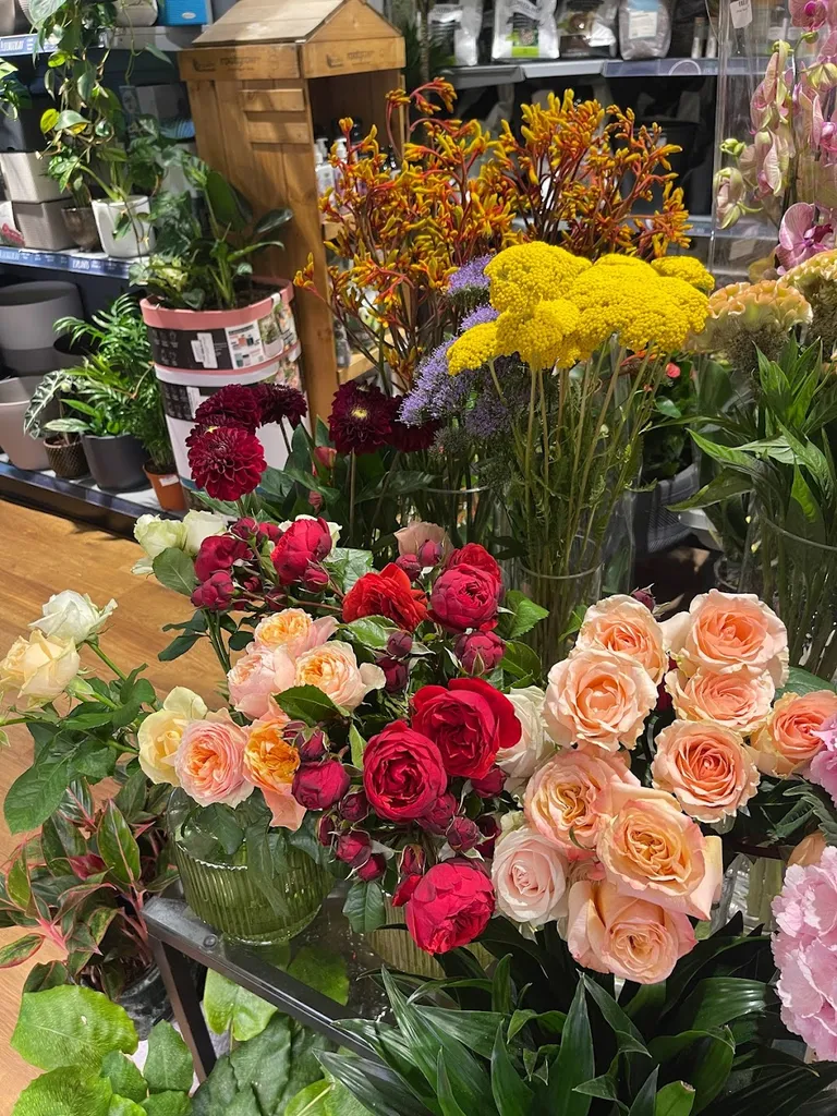 Getpotted Florist, Fresh Cut Flowers and House Plants