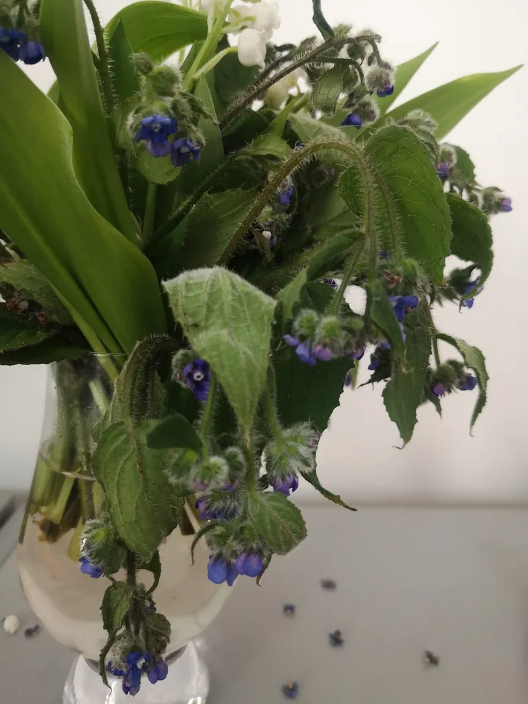 Gifts & Flowers Delivered