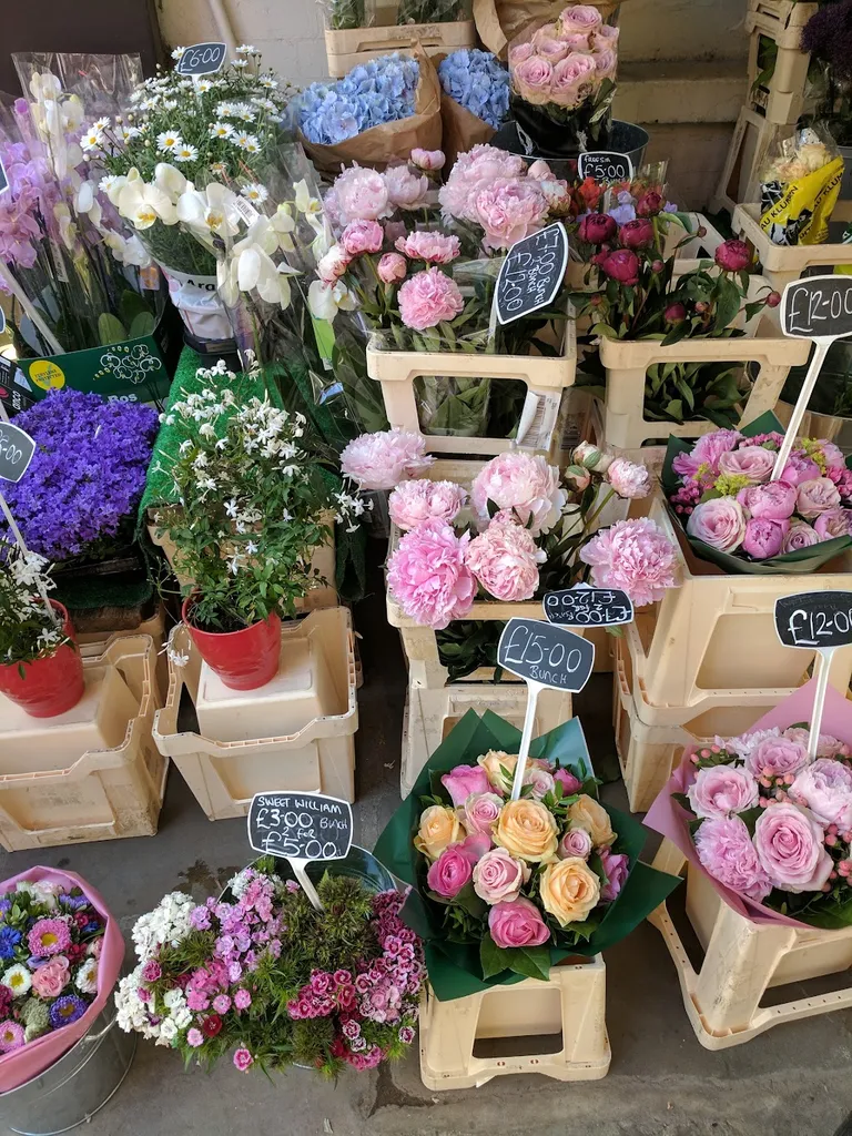 Hampstead Flowers
