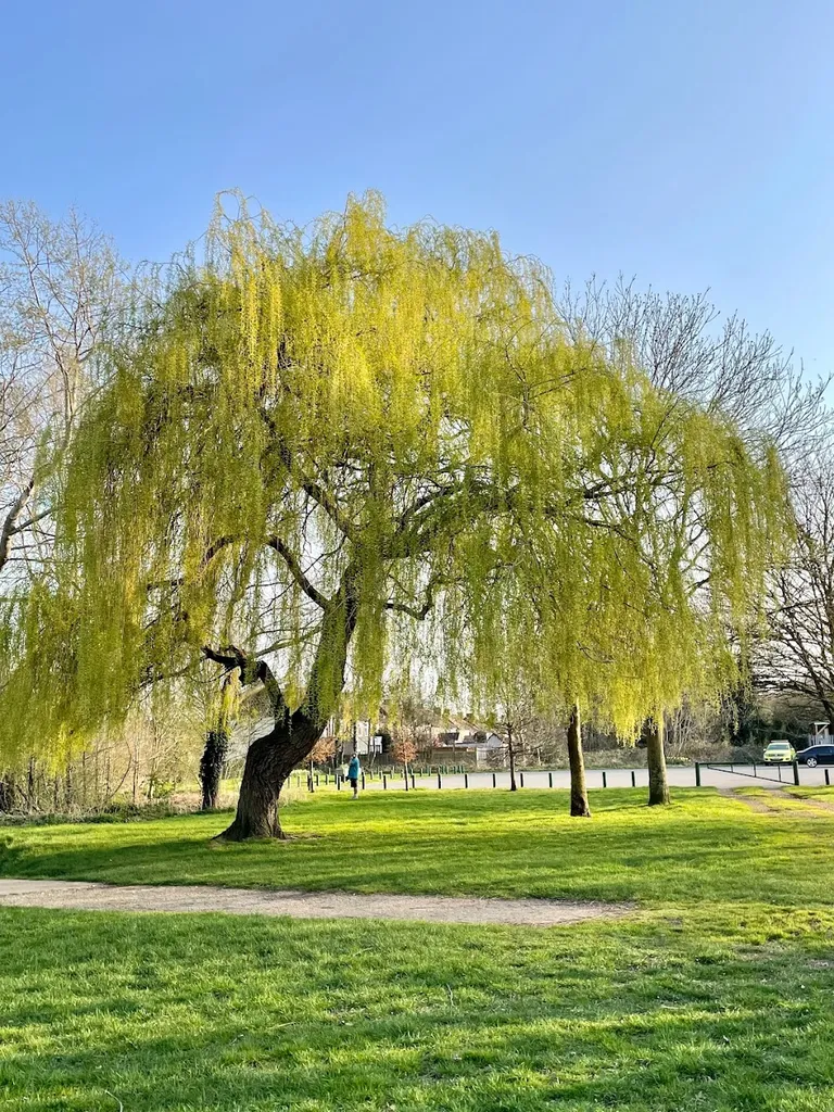 Hanworth Park public outdoor Gym