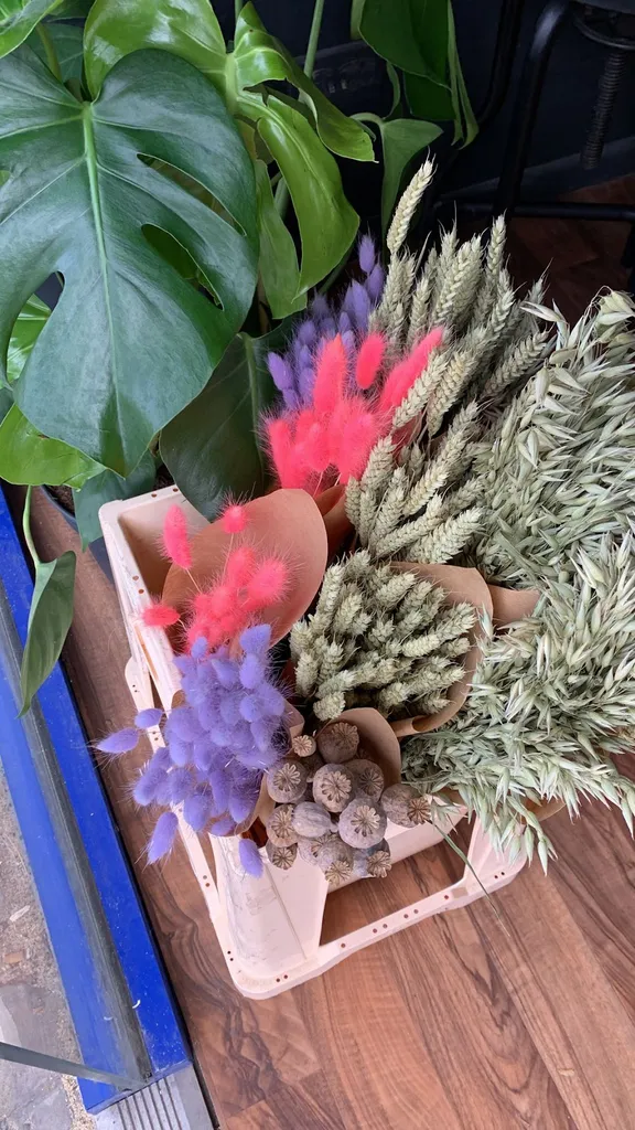 Holmflora
