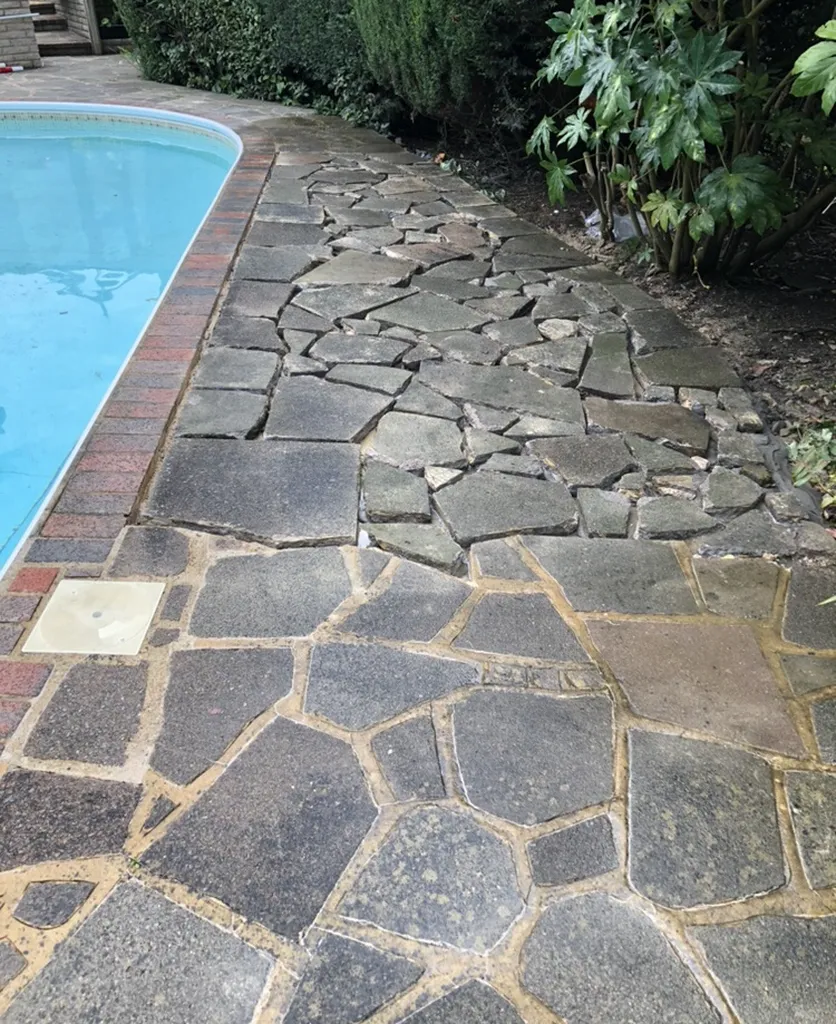 Homeguard property services
