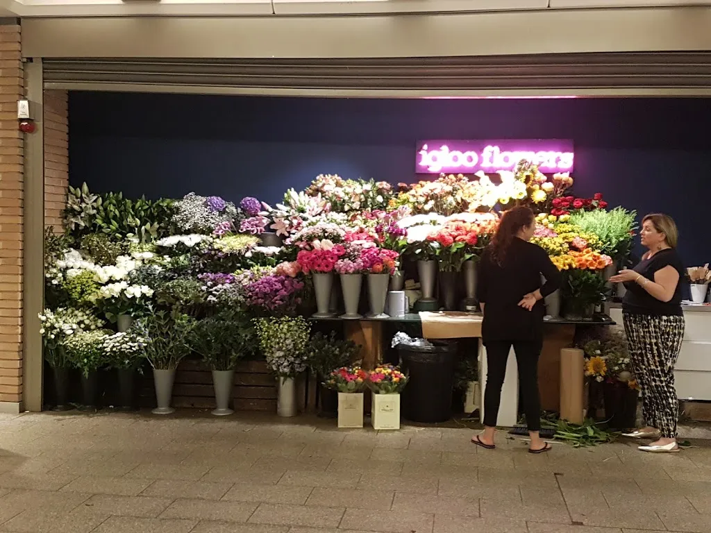 Igloo Flowers