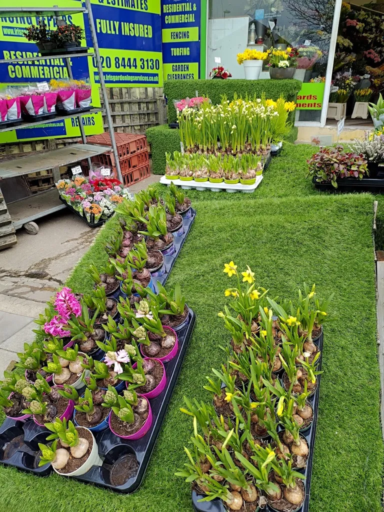 Iris Florists