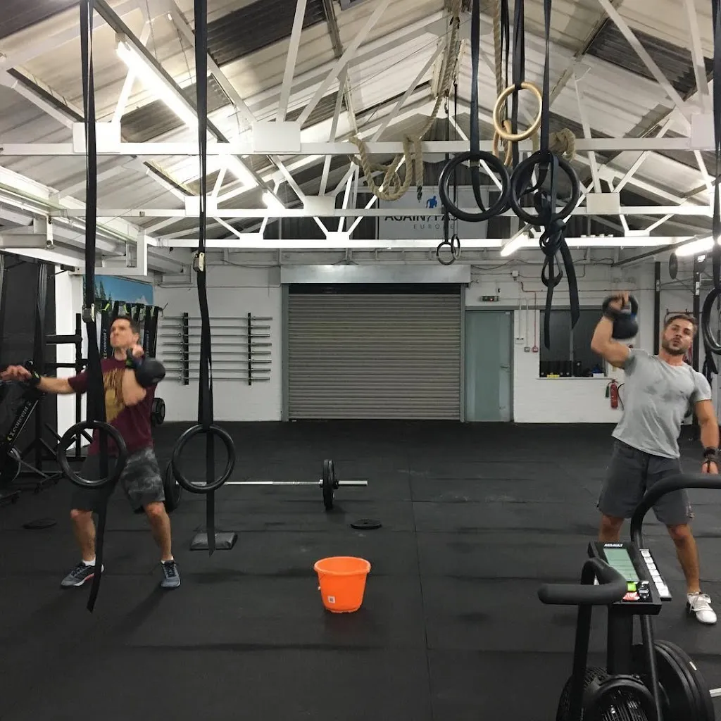 Iron Phoenix Fitness