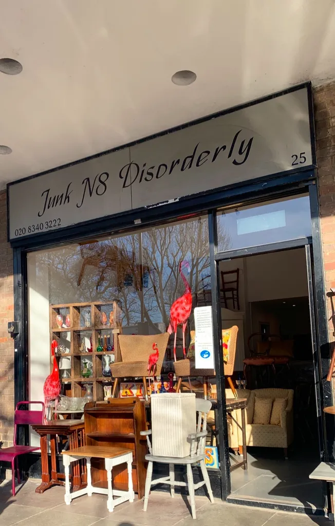 Junk 'N8' Disorderly